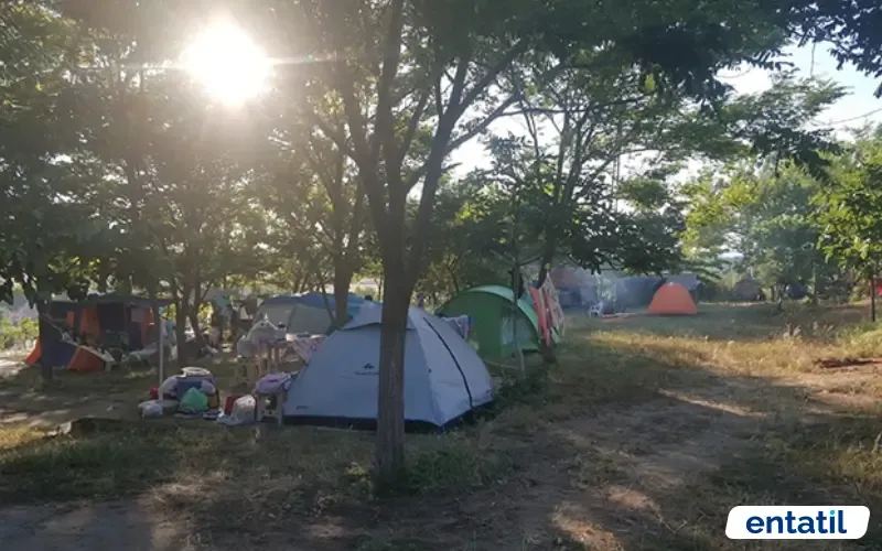Damal Kamp Alanı