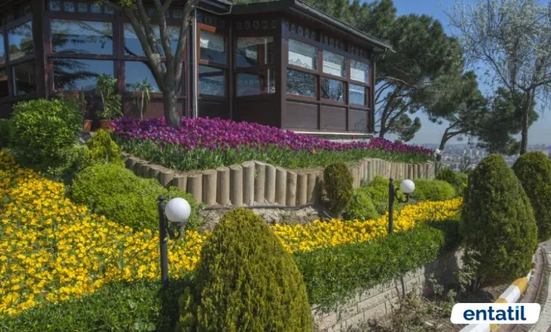 Gözdağı Korusu - Pendik