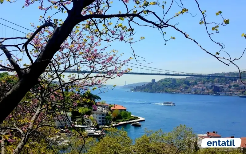 Mıhrabat Korusu - Beykoz