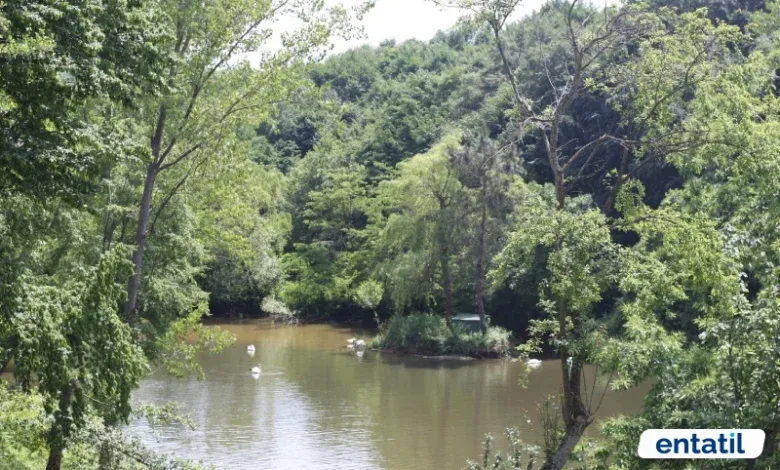 Polonezköy Tabiat Parkı - Beykoz