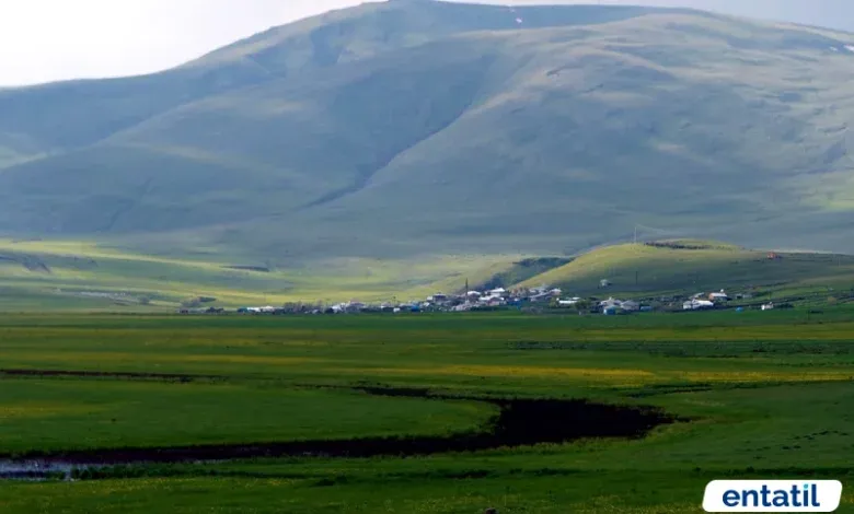 Yalnızçam Yaylası