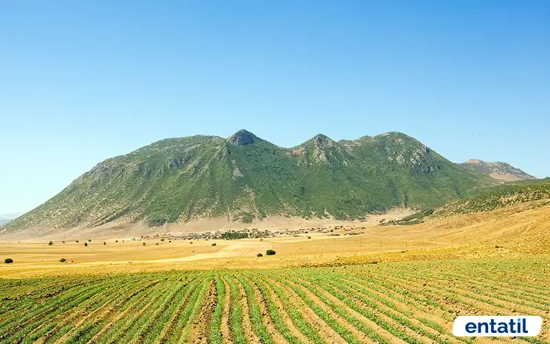 Bitlis Nemrut Dağı