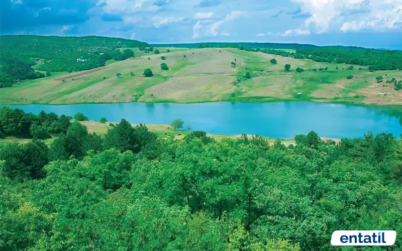 Çavuşköy Göleti