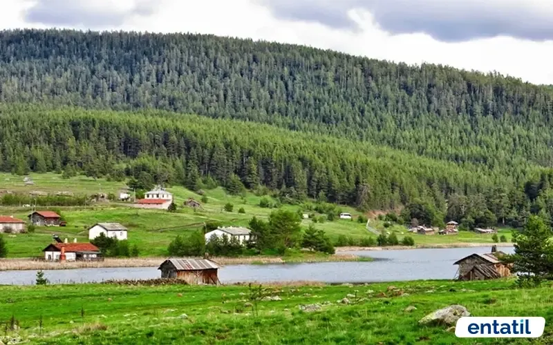 Eğriova Yaylası