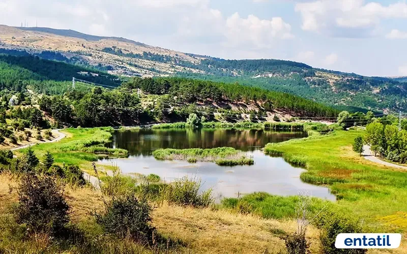 Karagöl Tabiat Parkı