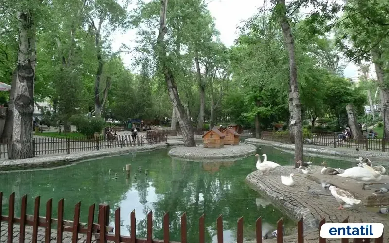 Kuğulu Park