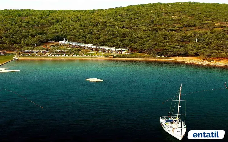 Ortunç Koyu