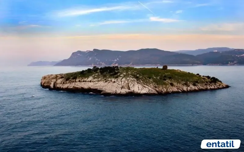 Tavşan Adası