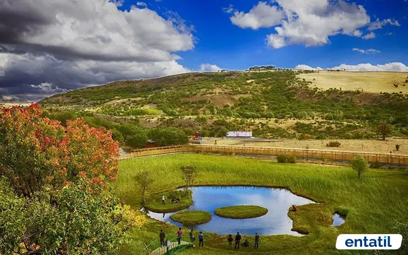 Yüzen Adalar Tabiat Alanı