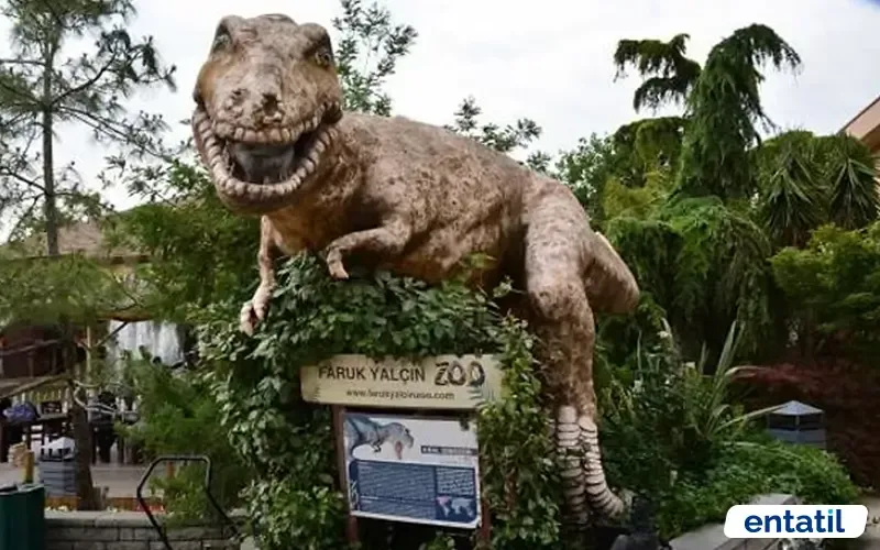 Darıca Hayvanat Bahçesi (Faruk Yalçın Zoo)