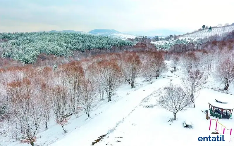 Gırgın Çayırı Piknik ve Mesire Alanı