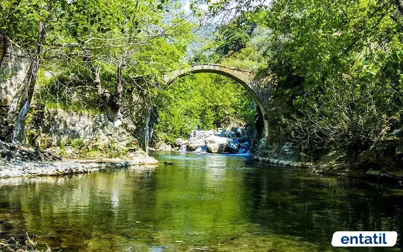 Kazdağı Milli Parkı