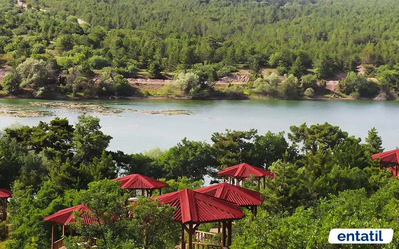 Musaözü Tabiat Parkı