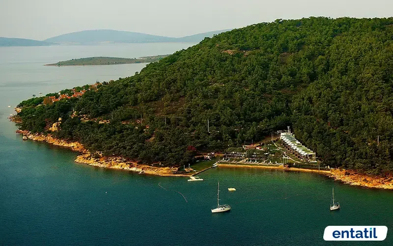 Ortunç Koyu