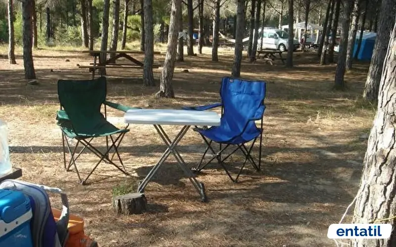 Ayıklar Piknik ve Kamp Alanı
