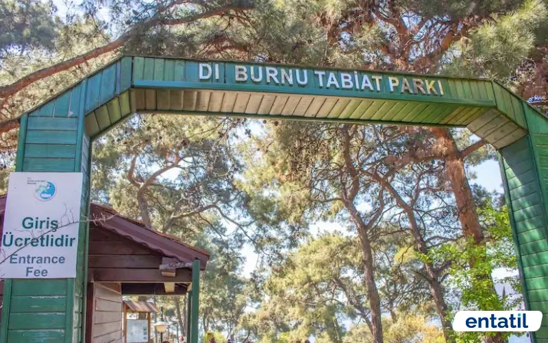 Dilburnu Tabiat Parkı