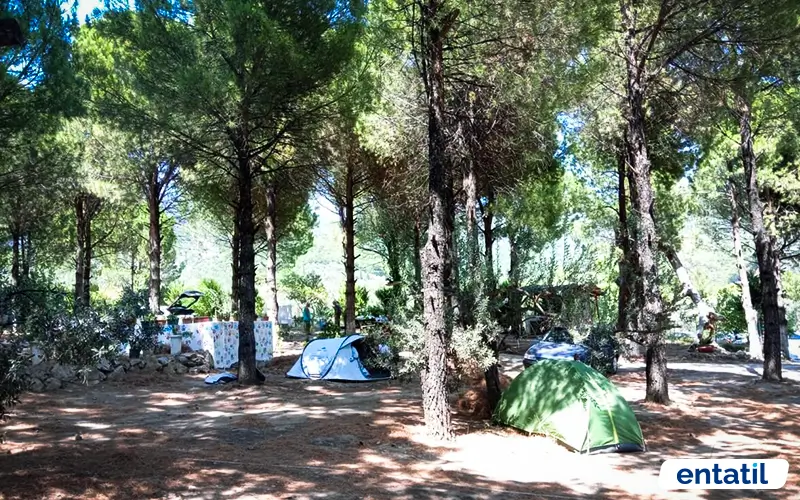 İnek Obası Çadır Kamp Alanı