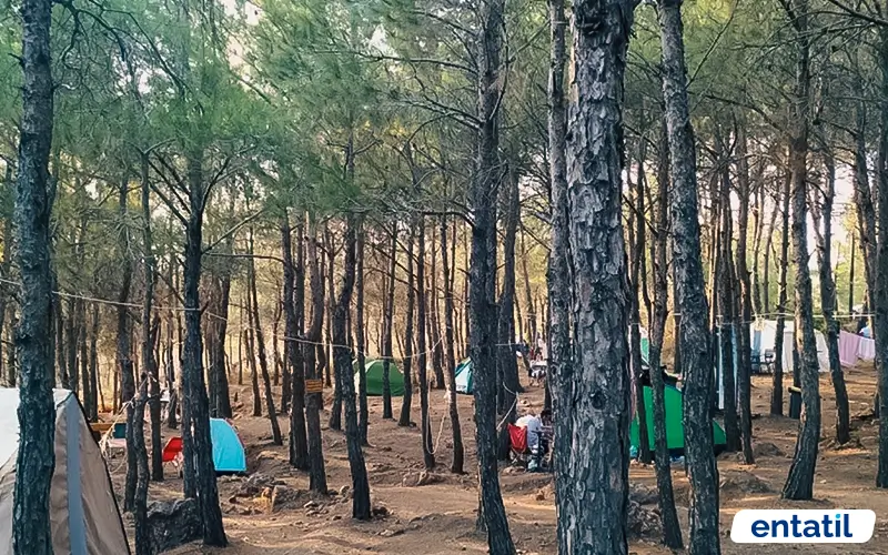 Sarımsaklı Tabiat Parkı Kamp Alanı