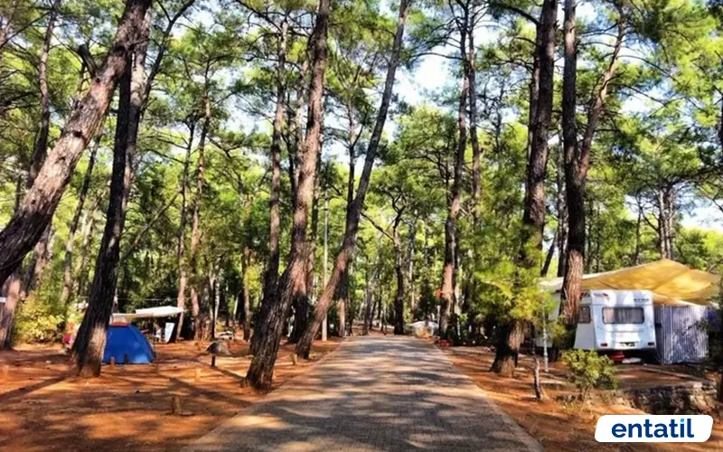 Çetibeli Orman Kampı